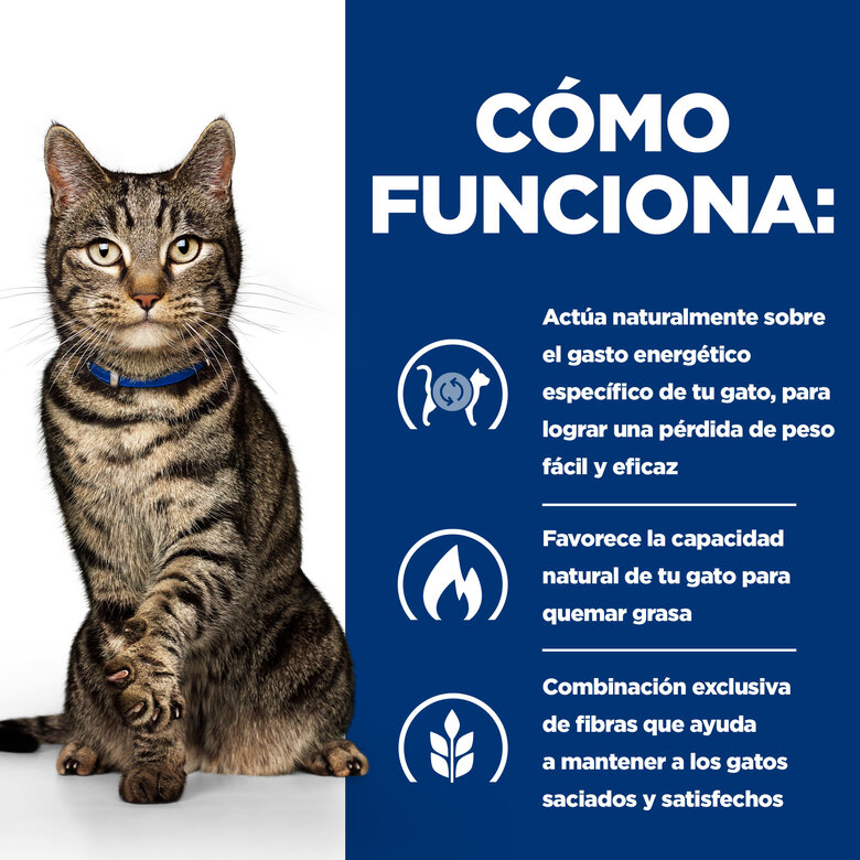 Hill's Prescription Diet Metabolic Feline pouches para gato - Multipack, , large image number null